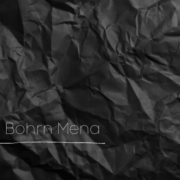 (c) Bohrn-mena.at