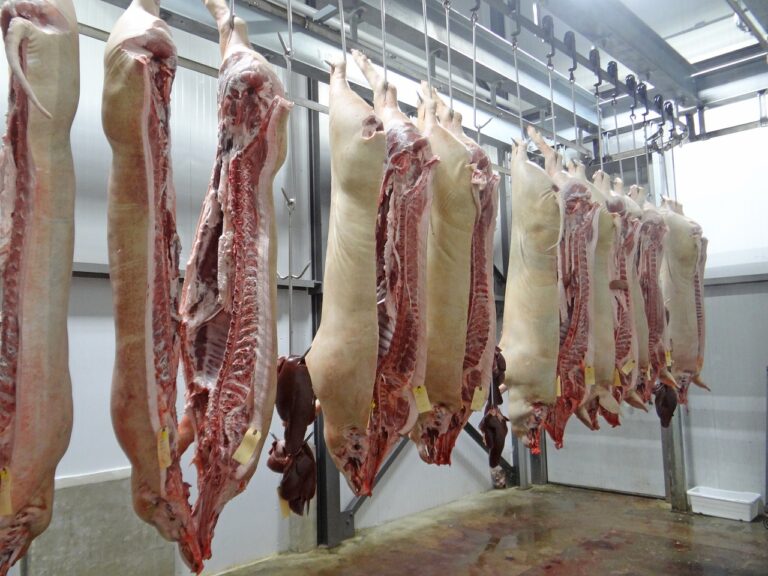 Entwertung von Leben: Billigfleisch ist eine Schande!